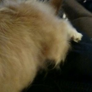 Meet your Posher, Carissa