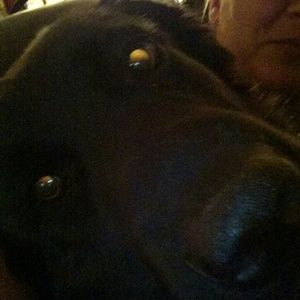 Meet your Posher, Vincent