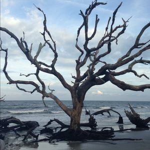 Meet your Posher, Annie