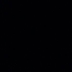 Meet your Posher, Mollie