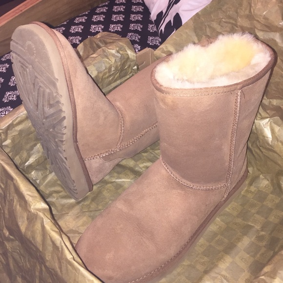 Classic Short Uggs