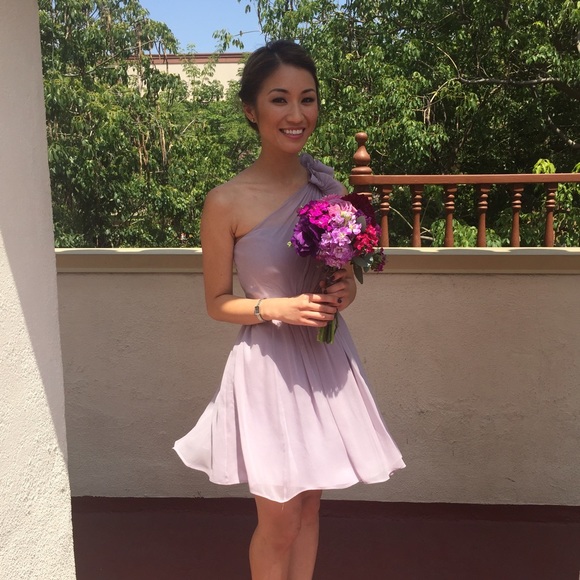 Ann taylor lilac chiffon dress