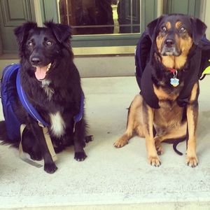 Meet your Posher, Kim