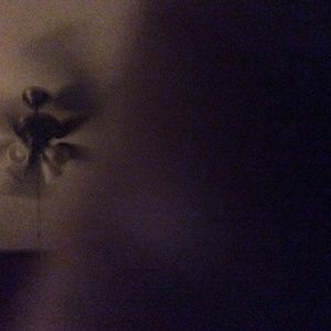 Meet your Posher, Felecia