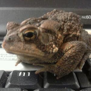 Meet your Posher, Shawn