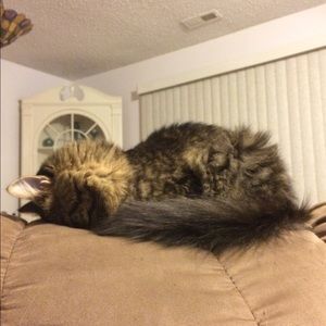 Meet your Posher, Mackenzie