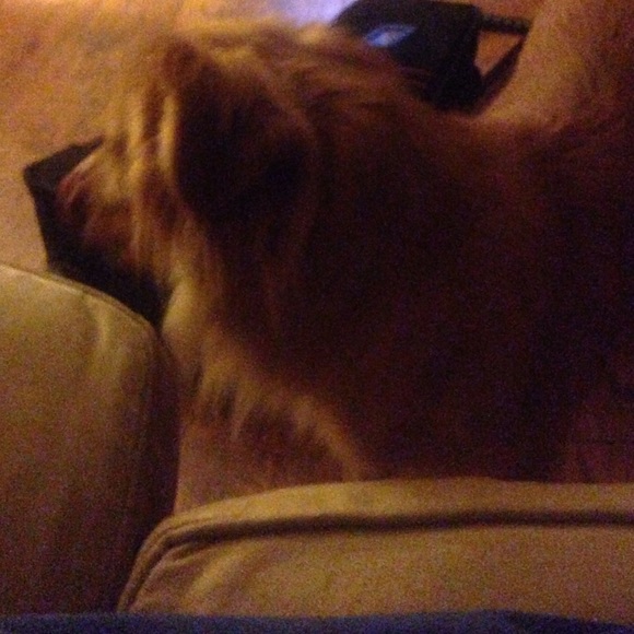 Meet your Posher, Ashleigh