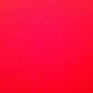 Meet your Posher, Rose