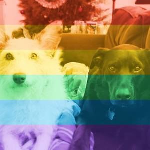 Meet your Posher, Bella lucy