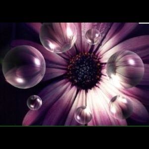 Meet your Posher, Stacy