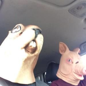 Meet your Posher, Tyson