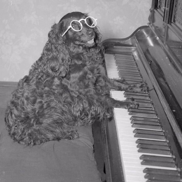 Meet your Posher, Steph