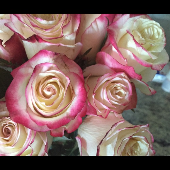 Meet your Posher, Kiara - Picture 2 of 2