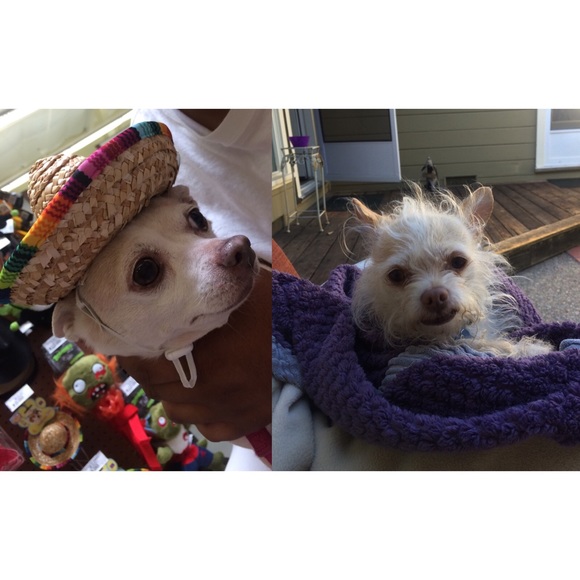 Meet Me! - Picture 4 of 4