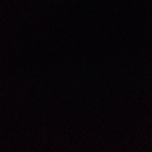 Meet your Posher, Shania