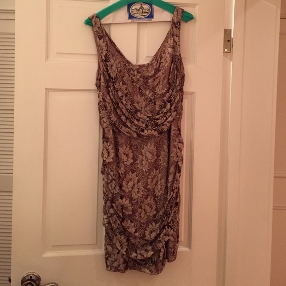 Express Metallic Ruched Lace Dress (with V back) - Picture 1 of 4