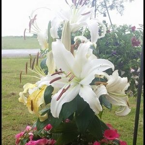 Meet your Posher, Summer