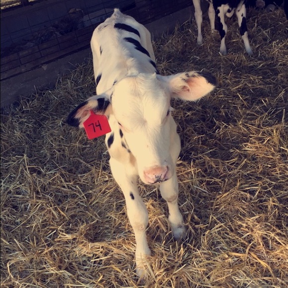 Meet your Posher, Mckenna