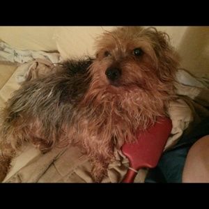 Meet your Posher, Rosaline