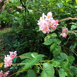 Meet your Posher, Joanne