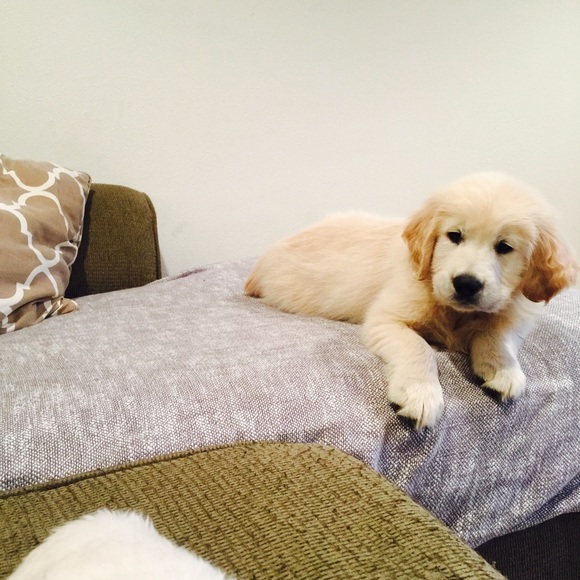 Meet your Posher, Kaitlin - Picture 1 of 1