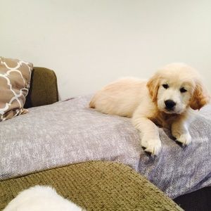 Meet your Posher, Kaitlin