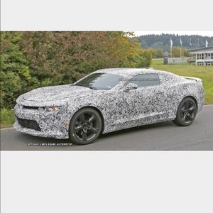 Meet your Posher, Nick