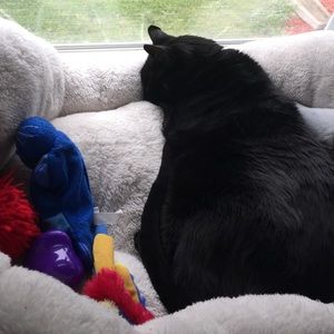 Meet your Posher, Danielle