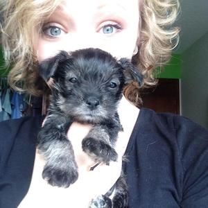 Meet your Posher, April