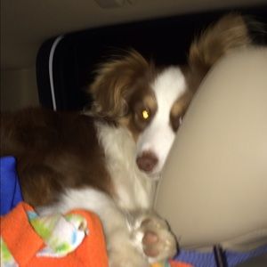 Meet your Posher, Jamie