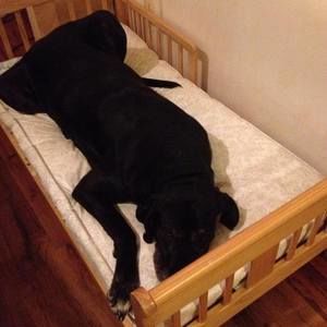 Meet your Posher, Christie