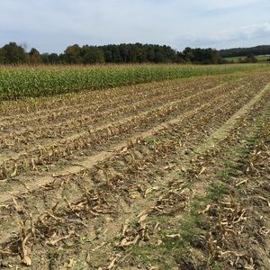 Meet your Posher, Jen