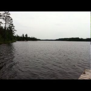 Meet your Posher, Ann