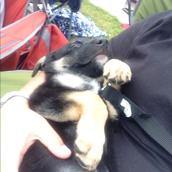 Meet your Posher, Kim - Picture 1 of 1