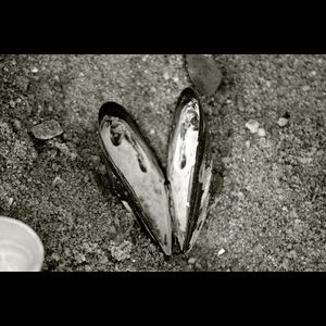 Meet your Posher, Jodi