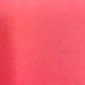 Meet your Posher, Therese