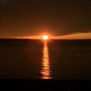 Meet your Posher, Bailey