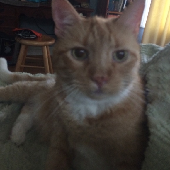 Meet your Posher, Grace