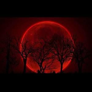 Meet your Posher, Ali