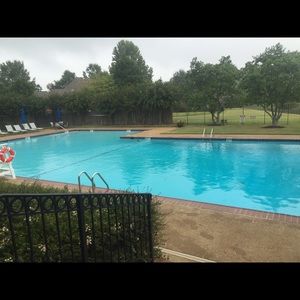 Meet your Posher, Jenny