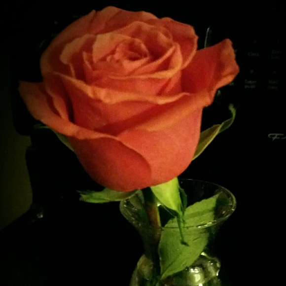 Meet your Posher, Susan - Picture 1 of 1