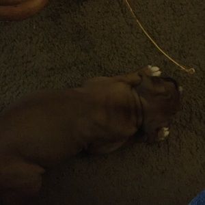 Meet your Posher, Tracy