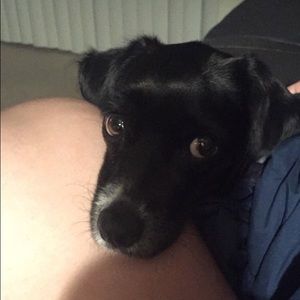 Meet your Posher, Mara