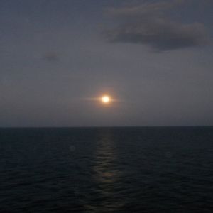 Meet your Posher, Leslie