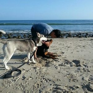 Meet your Posher, Eddie