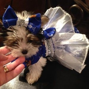 Half off sale all night order now $25