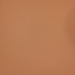 Meet your Posher, Dakota