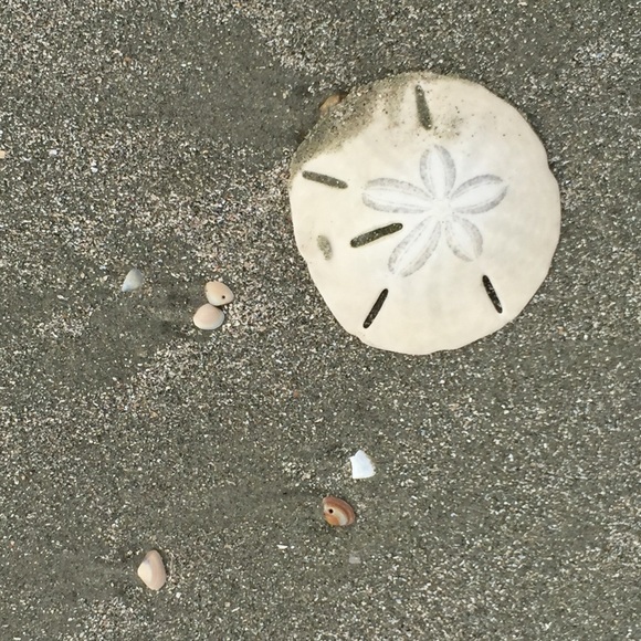 Meet your Posher, Delaney