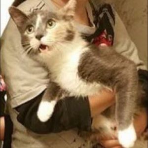 Meet your Posher, Nikki