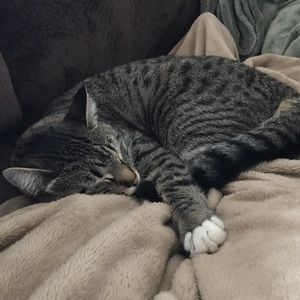 Meet your Posher, Chelsea